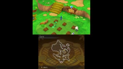 Poke Mega extrait : Village