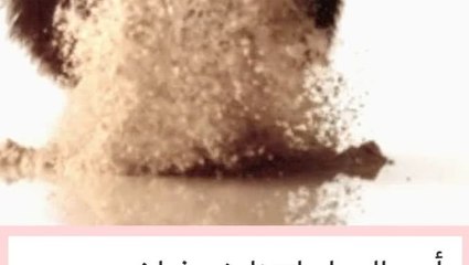 Copy1-of-Copy-of-Copy-2-of-Copy-of-Copy-5-of-Copy-3-of-Copy-of-Jan-29-halawaa