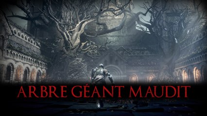 DS3 Curse-rotted Greatwood