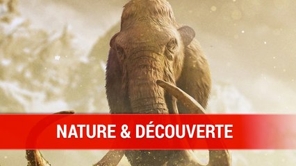 Far Cry Primal : Nature & découverte