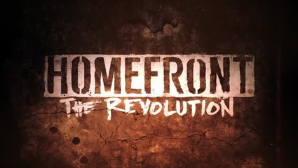 Homefront : The Revolution mode resistance