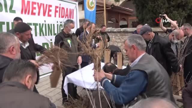 Fidan alabilmek için birbiriyle yarıştılar