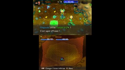 PokeMega extrait : Donjon