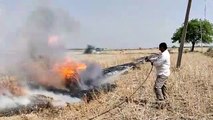 वीडियो : खेत में कटी पड़ी सरसों के चारे में लगी आग, नगरपालिका की दमकल ने पाया काबू