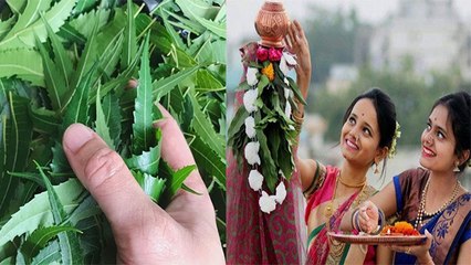 गुड़ी पड़वा के दिन नीम क्यों खाते हैं,ये है इसका धार्मिक महत्व । Boldsky