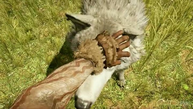 Far Cry Primal : Découverte d'Oros en 7 minutes