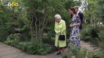 Queen is 'Deeply Touched' By 1 Million Trees Planted in Her Honor