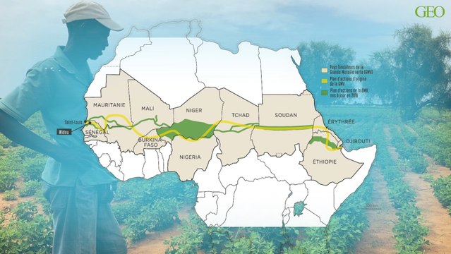 Sénégal : où en est la Grande muraille verte, ce mur végétal censé traverser l'Afrique ?