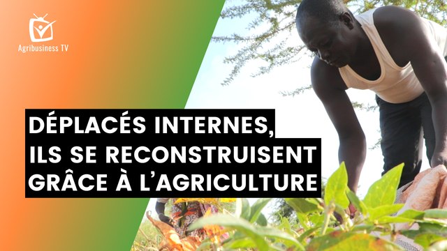 Burkina Faso : Déplacés internes, ils se reconstruisent grâce à l’agriculture
