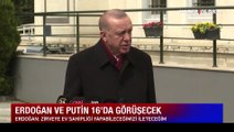 Son dakika! Cumhurbaşkanı Erdoğan'dan Putin-Zelenski görüşmesi açıklaması