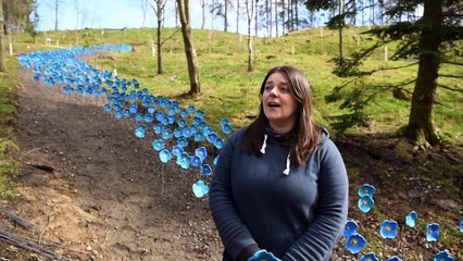 Blue poppy sculptures Himilayan Gardens