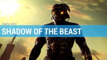Vidéo test : Shadow of the beast