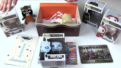 Unboxing Wootbox Voix 3