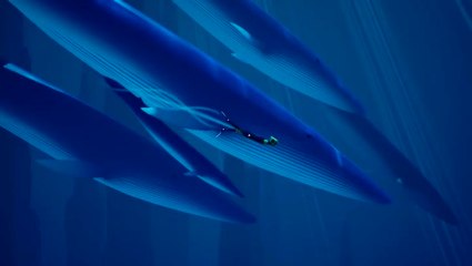 Abzû - Entre musique et poésie