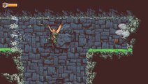 L'univers du jeu indépendant - Owlboy : Entre Zelda et Metroid