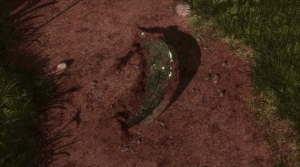 The Last Guardian nous présente son trailer