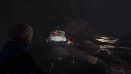 Through the Woods - Promenons-nous dans les bois