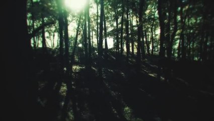Project Re Fantasy dévoile une première bande-annonce