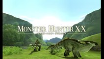 Monster Hunter XX Link