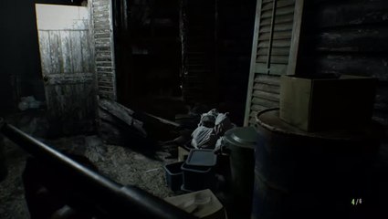 Resident Evil 7 : L'entomophobie ou la peur des insectes