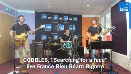 COBBLES, "Searching_for_a_face"