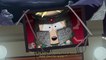 Trailer South Park : L'Annale du Destin - Nouvelle date de sortie