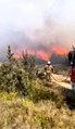 Ünlü tatil merkezi Çeşme'deki yangın kontrol altında