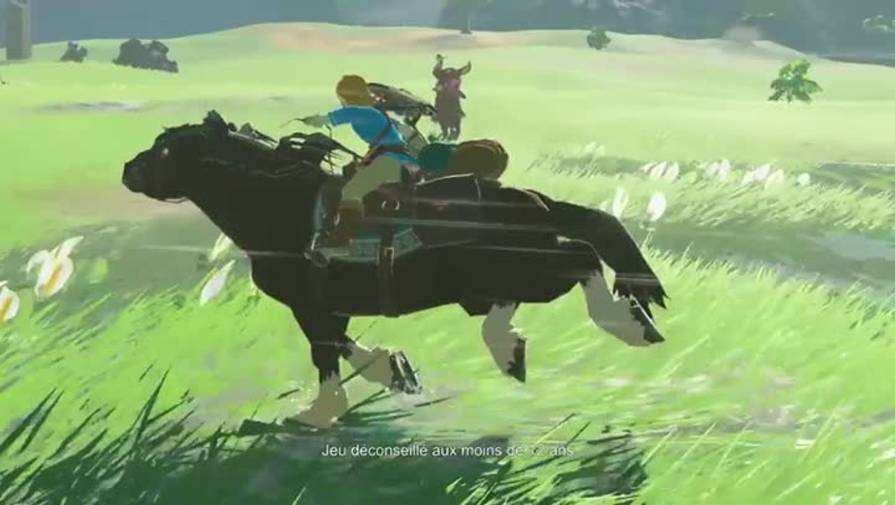 Zelda monde gigantesque