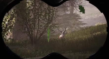 Hunting Simulator - Le Bestiaire