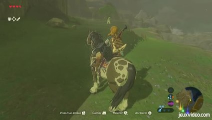The Legend of Zelda : Breath of the Wild - Un cheval qui prend cher