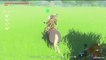 The Legend of Zelda : Breath of the Wild - Les canassons