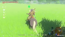 The Legend of Zelda : Breath of the Wild - Les canassons