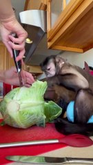 Cooking with Gaitlyn Rae