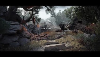 Divinity Original Sin II