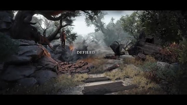 Divinity Original Sin II