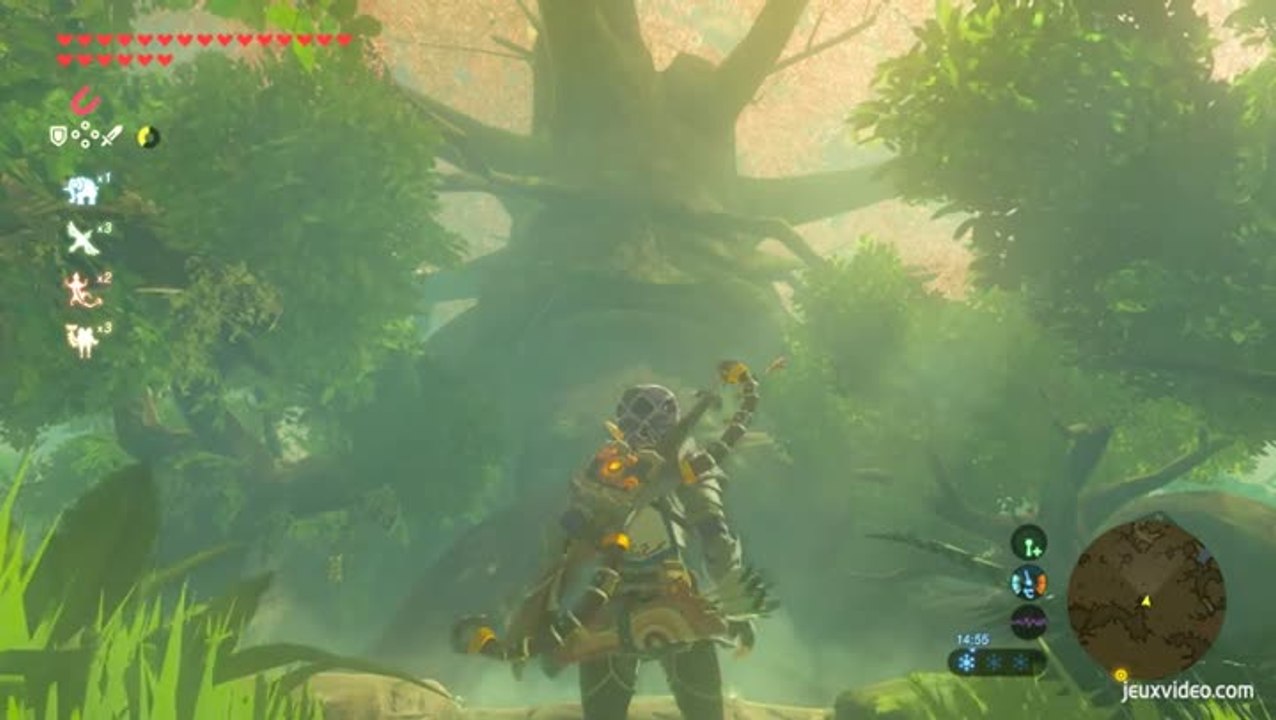 The Legend of Zelda : Breath of the Wild - Les Epreuves Légendaires : L'Epreuve de l'Epée