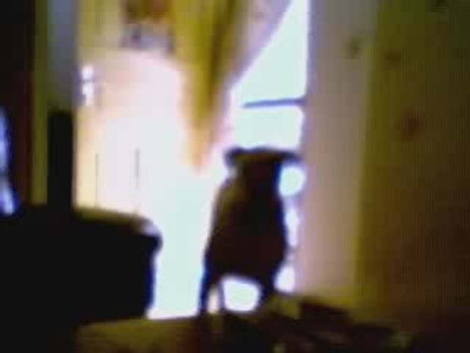Webcam 1205066505921