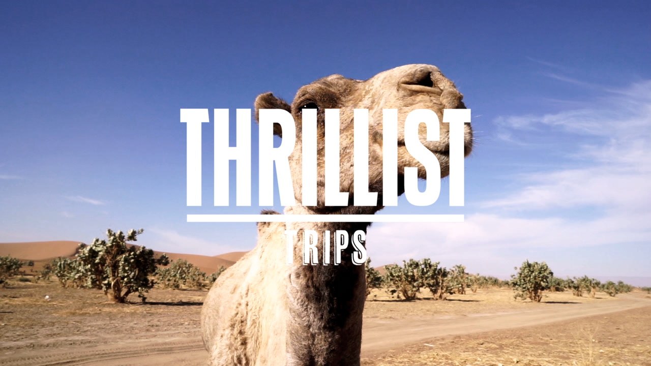 MARRAKESH Main Thrillist Trips - Desktop