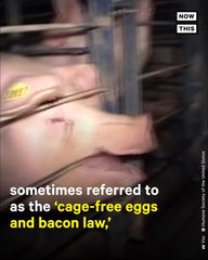 Supreme Court Agrees to Hear Case Against CA Prop 12