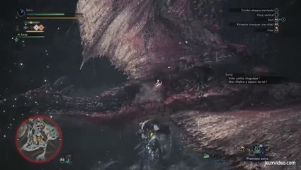Gaming Live - Monster Hunter World - Une rencontre inattendue