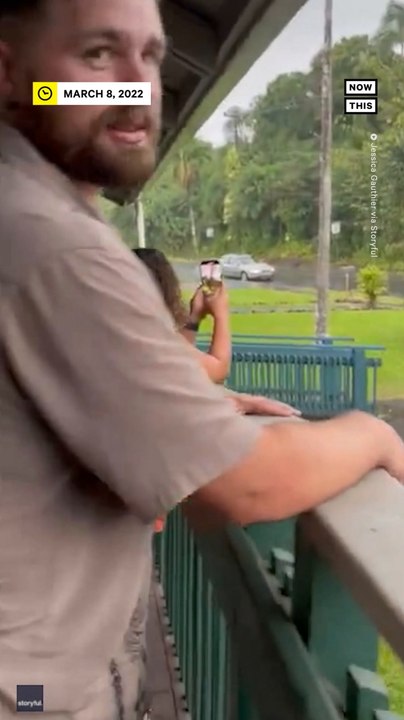 Lightning Bolt Sets Tree on Fire in Hawaii