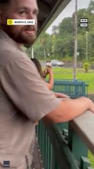 Lightning Bolt Sets Tree on Fire in Hawaii