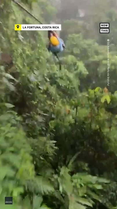 Boy Collides With Sloth While Ziplining