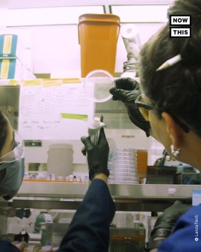 Startup Turns Carbon Emissions Into Clothing | UpcycleThis