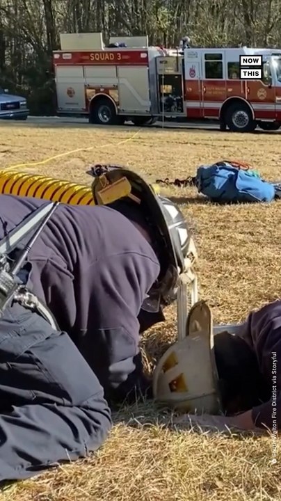 Firefighters Rescue Dog From 15-Foot Hole