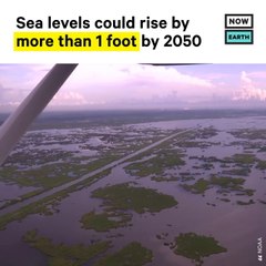 U.S. Sea Levels Could Rise Up to a Foot by 2050