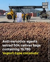 Drug Bust Finds 20k Coconuts Filled With Cocaine
