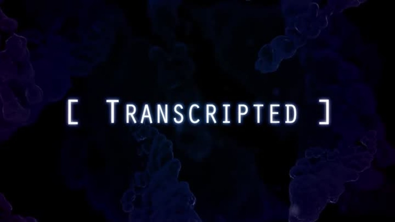 Transcripted : La version Playstation 4 se lance en vidéo