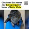 Baby Penguin Named in Honor of Betty White