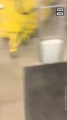 Deer Visits Missouri Dollar Store